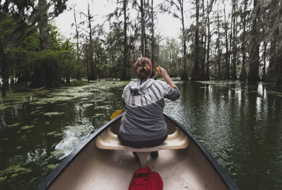 Road Trips from Slidell: Exploring the Scenic Beauty Beyond