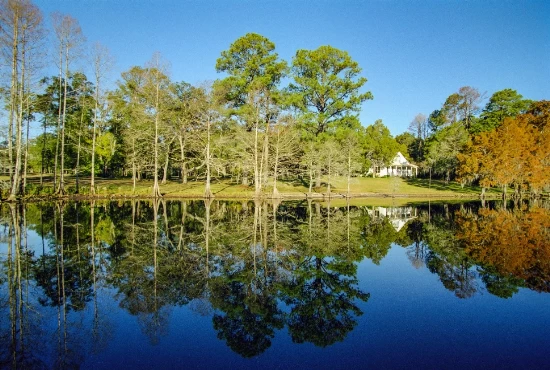 Uncovering the Best Attractions and Activities in Slidell, LA